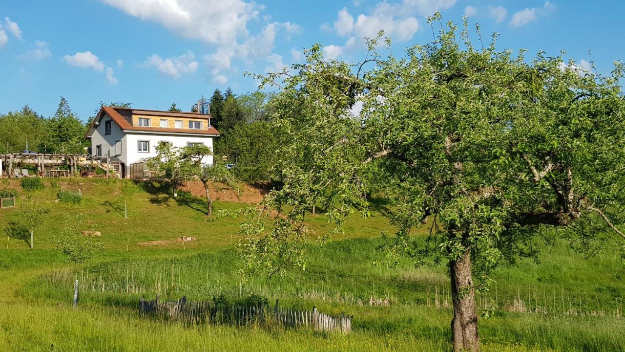 Coeur Vert Oekologisch Mit Viel Ambiente Fuer Seelen-Wellness Ronchamp Buitenkant foto