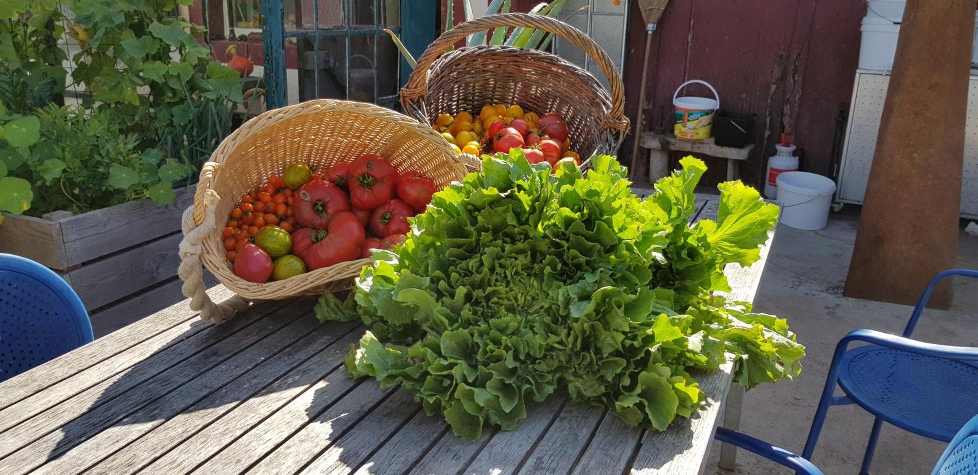 Coeur Vert Oekologisch Mit Viel Ambiente Fuer Seelen-Wellness Ronchamp Kamer foto